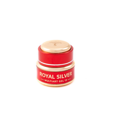 Multiart żel 13 Royal Silver 5g | Slowianka Nails