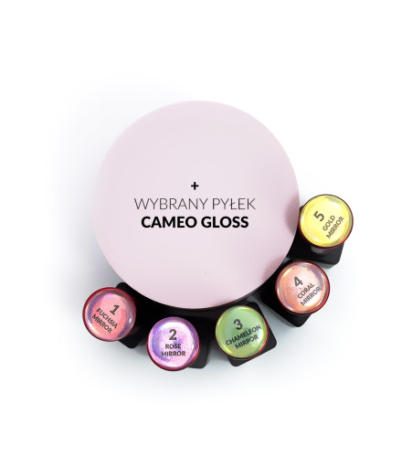 Zestaw 5xLiquid Mirror Powder 8g + wybrany pyłek Cameo Gloss | Slowianka Nails